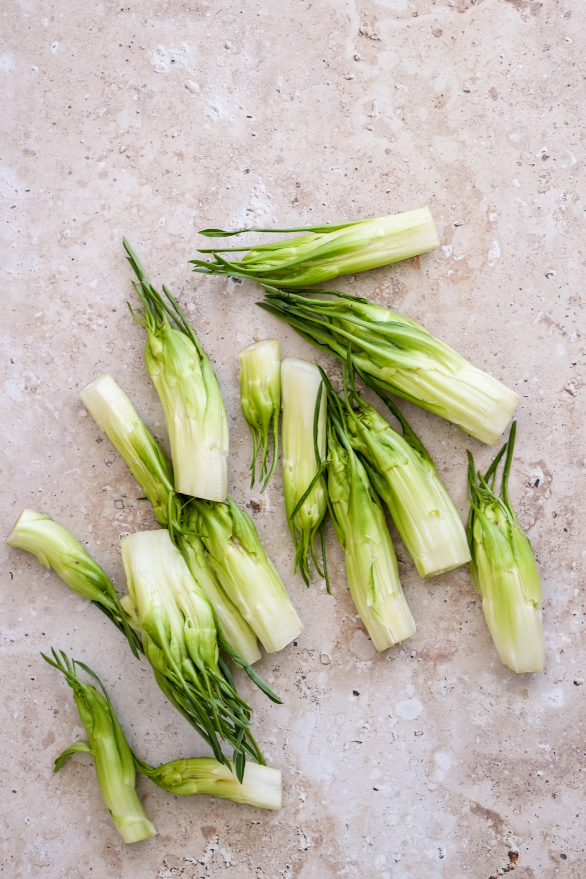 Overhead photo of thirteen puntarelle stalks