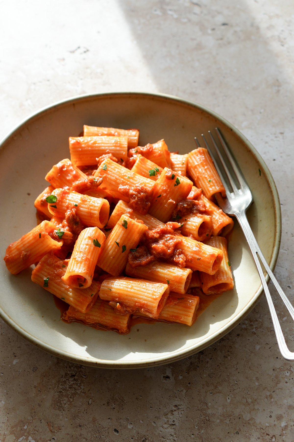 Canned tuna pasta in tomato sauce in a dish