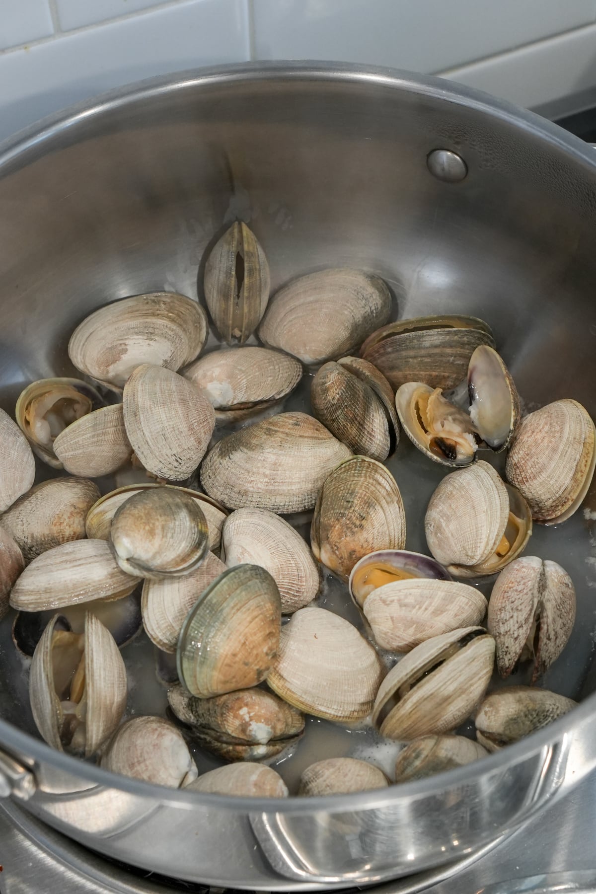 fresh clams in a pot, some of them starting to open