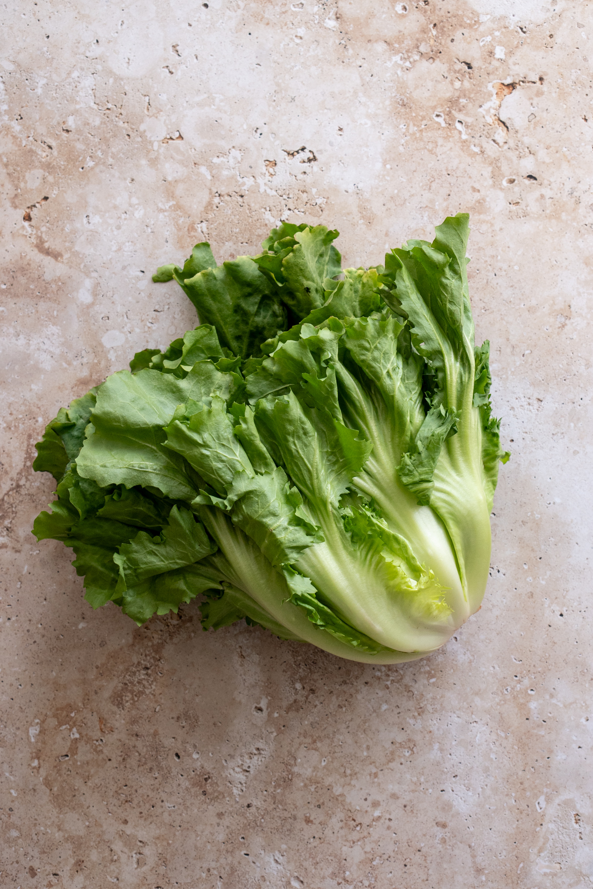 A full head of escarole