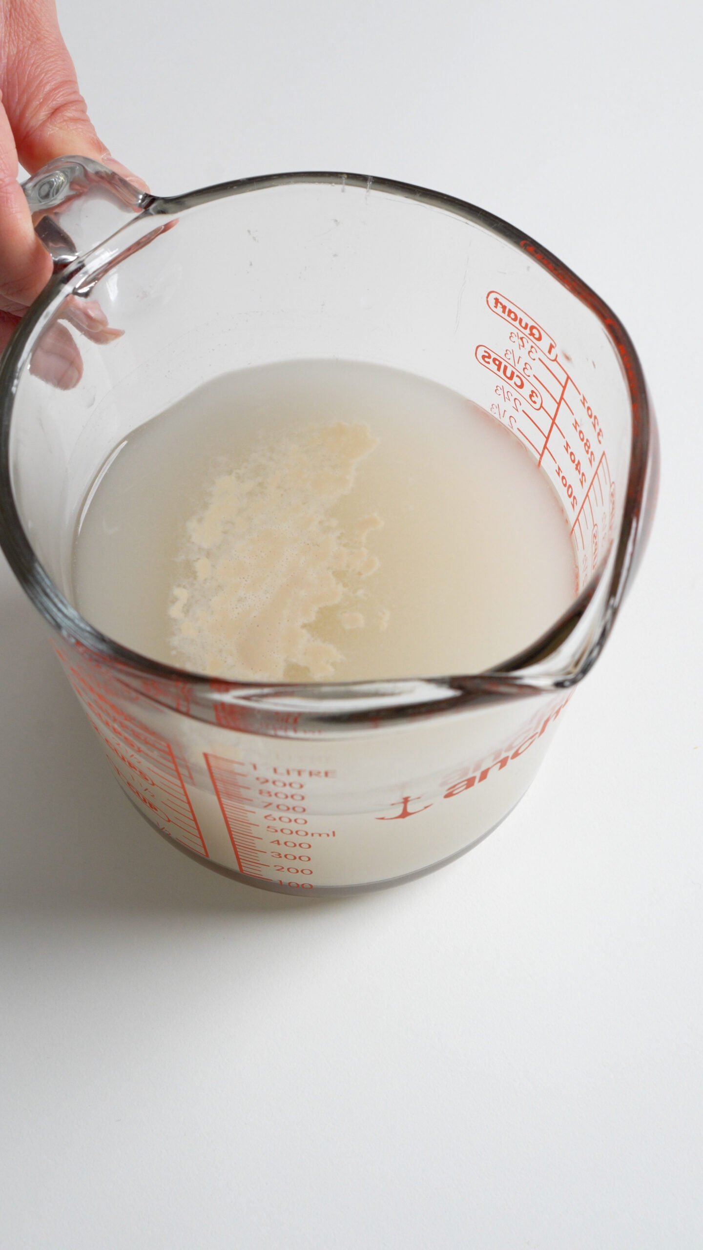 Proofed yeast in a measuring cup with water